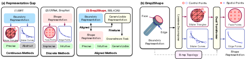 Preview for Brep2Shape: Boundary and Shape Representation Alignment via Self-Supervised Transformers