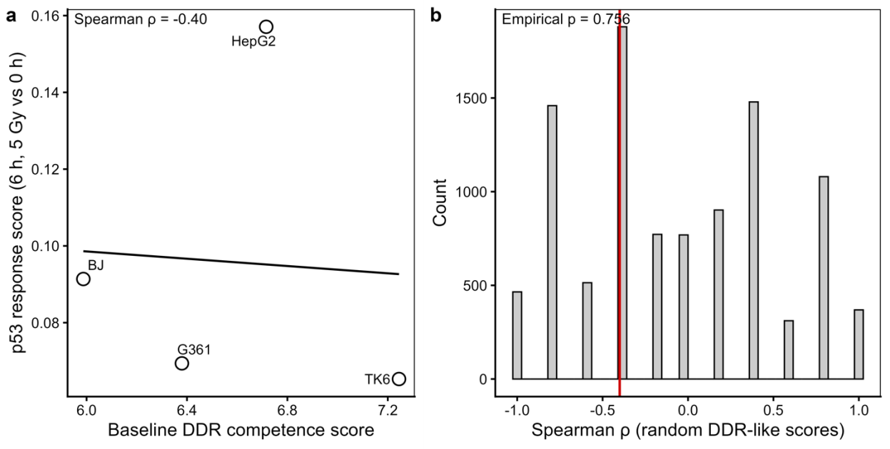 Preview for When AI Does Science
