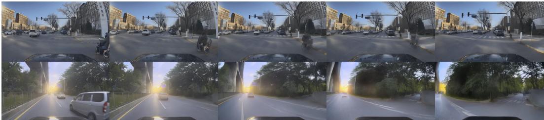 Preview for DrivingDojo Dataset