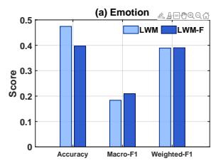 Preview for Large Emotional World Model