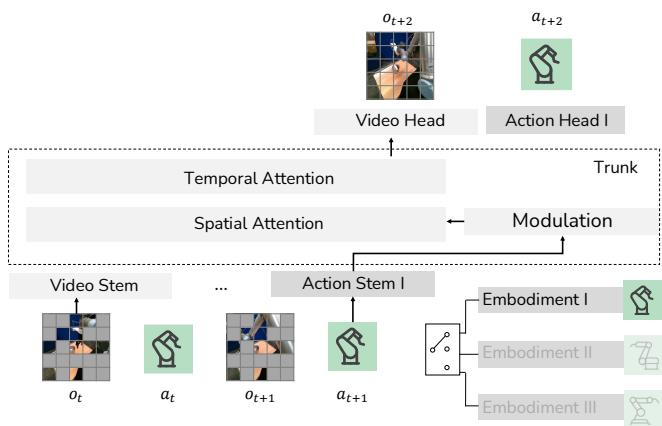 Preview for Learning Real-World Action-Video Dynamics with Heterogeneous Masked Autoregression